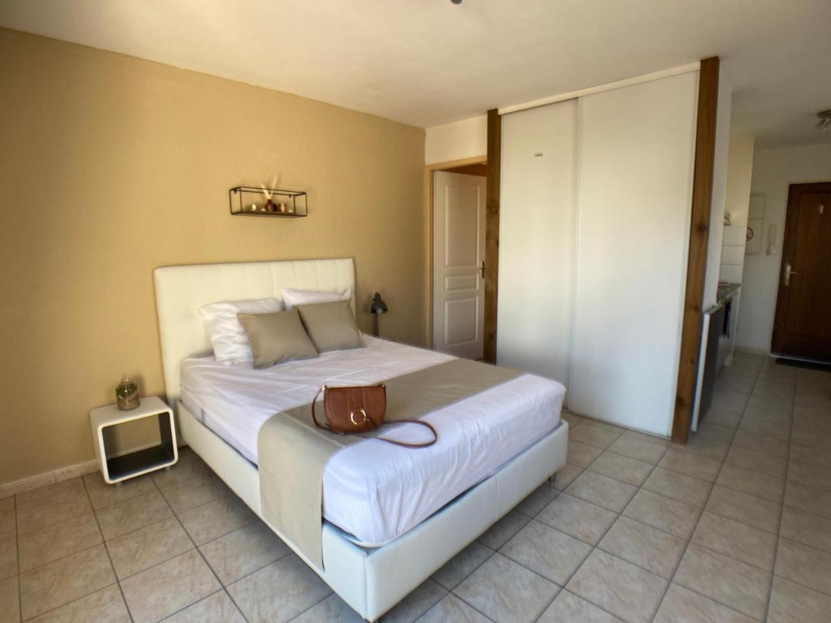 Studio Climatise Et Grande Terrasse Tarbes Centre Bagian luar foto